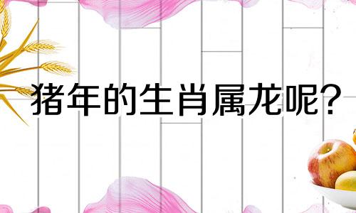 猪年的生肖属龙呢?