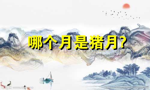 哪个月是猪月?