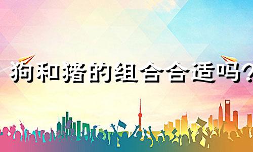 狗和猪的组合合适吗?