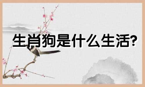生肖狗是什么生活?