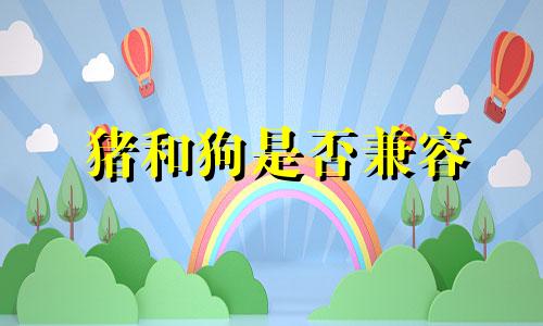 猪和狗是否兼容