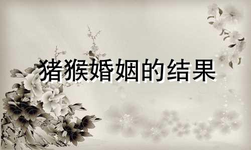 猪猴婚姻的结果