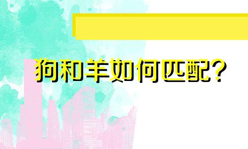 狗和羊如何匹配?