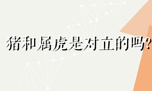 猪和属虎是对立的吗?