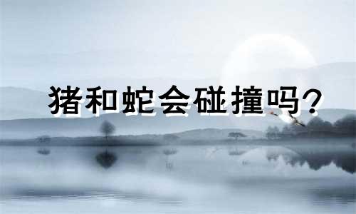 猪和蛇会碰撞吗?