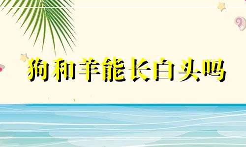 狗和羊能长白头吗