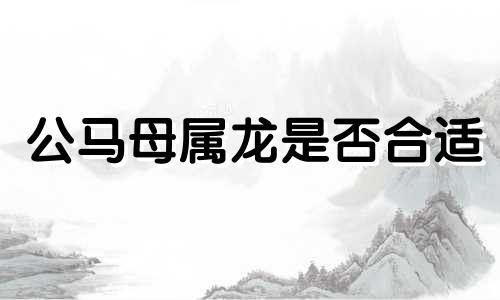 公马母属龙是否合适