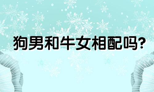 狗男和牛女相配吗?