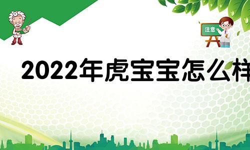 2022年虎宝宝怎么样