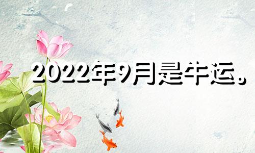 2022年9月是牛运。