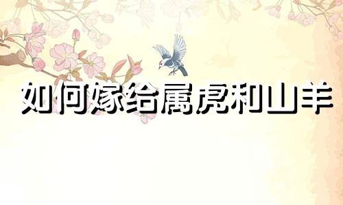 如何嫁给属虎和山羊