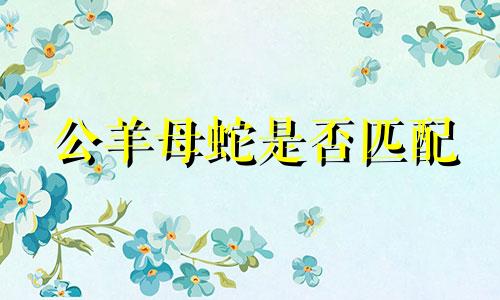 公羊母蛇是否匹配