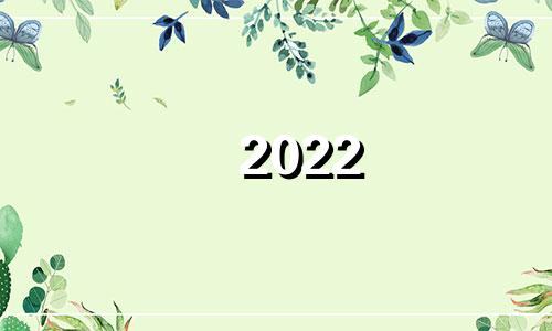 2022 '72鼠人的事业