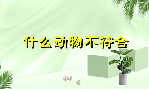 什么动物不符合