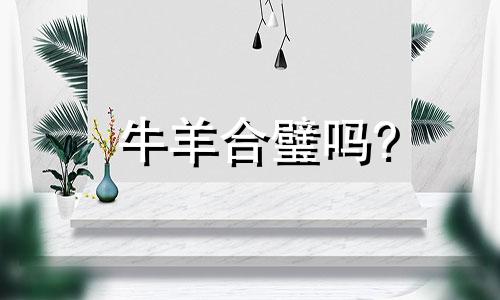 牛羊合璧吗?