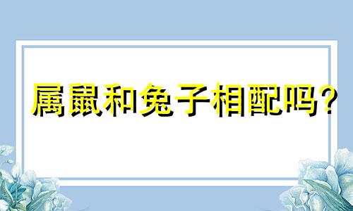 属鼠和兔子相配吗?