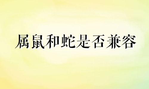 属鼠和蛇是否兼容