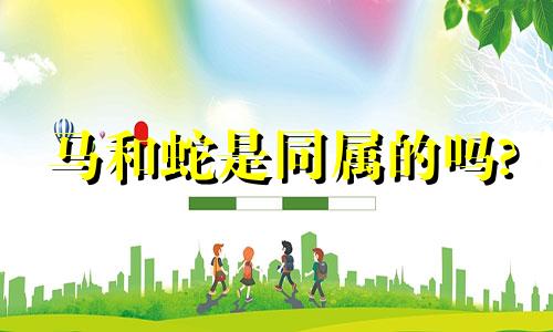 马和蛇是同属的吗?