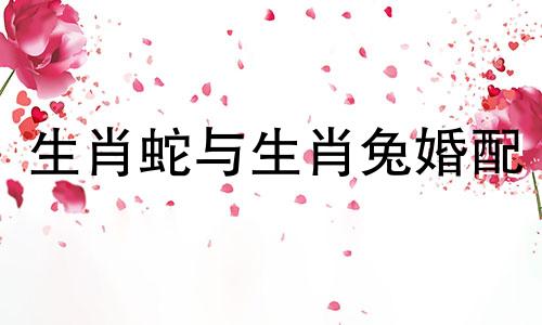 生肖蛇与生肖兔婚配
