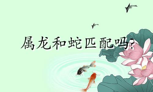 属龙和蛇匹配吗?