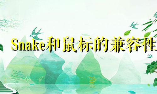 Snake和鼠标的兼容性