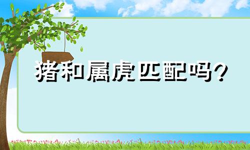 猪和属虎匹配吗?