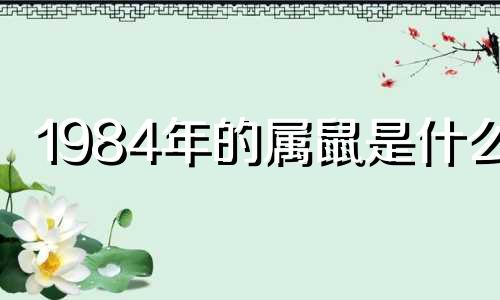 1984年的属鼠是什么?