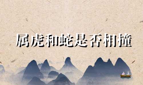 属虎和蛇是否相撞