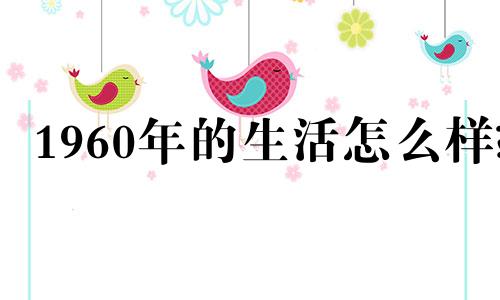 1960年的生活怎么样?