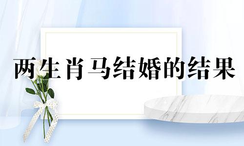 两生肖马结婚的结果
