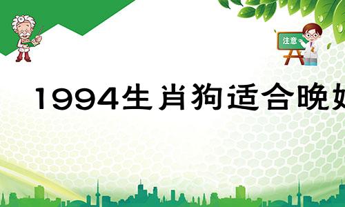 1994生肖狗适合晚婚