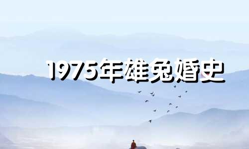 1975年雄兔婚史
