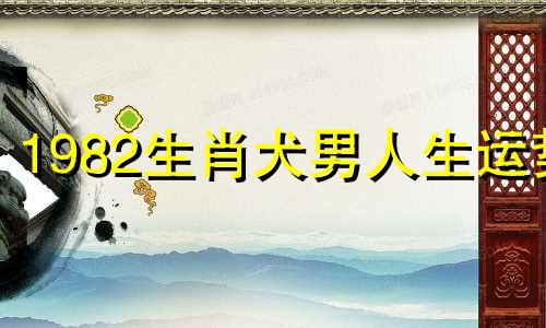 1982生肖犬男人生运势