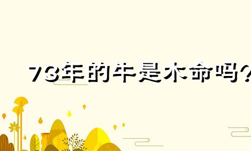 73年的牛是木命吗?