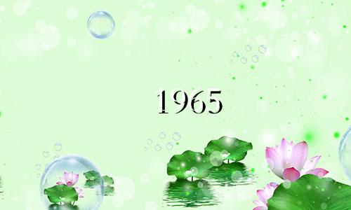 1965 Snake 56岁?健康运势