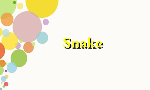 Snake 2022好运和好运