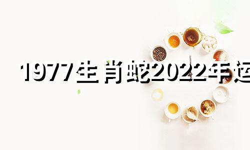 1977生肖蛇2022年运势
