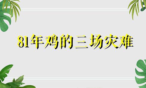 81年鸡的三场灾难
