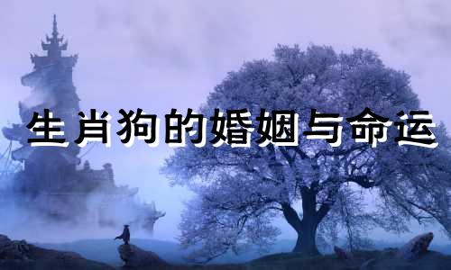 生肖狗的婚姻与命运