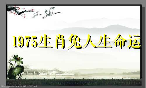 1975生肖兔人生命运