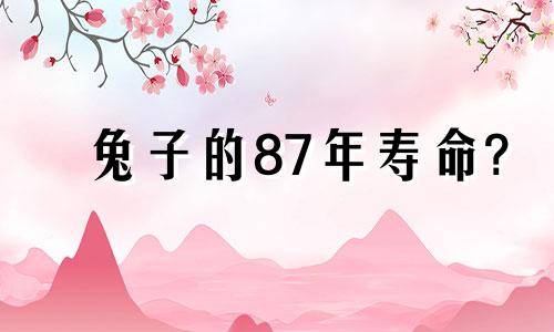 兔子的87年寿命?
