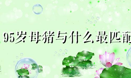 95岁母猪与什么最匹配