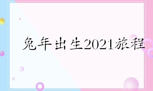 兔年出生2021旅程