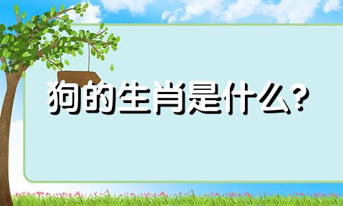 狗的生肖是什么?