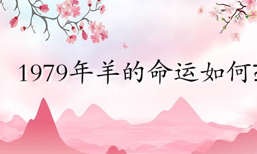 1979年羊的命运如何?