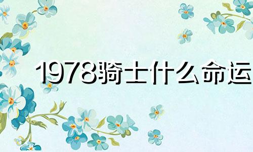 1978骑士什么命运