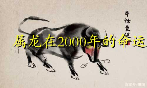 属龙在2000年的命运