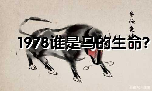 1978谁是马的生命?