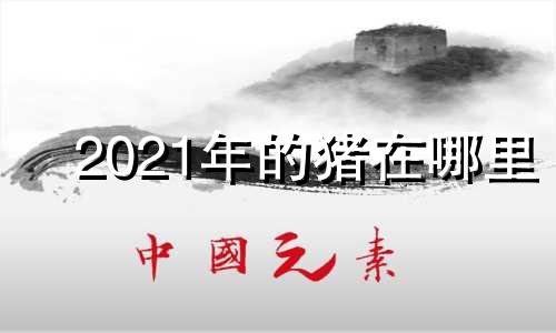 2021年的猪在哪里