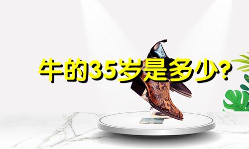 牛的35岁是多少?
